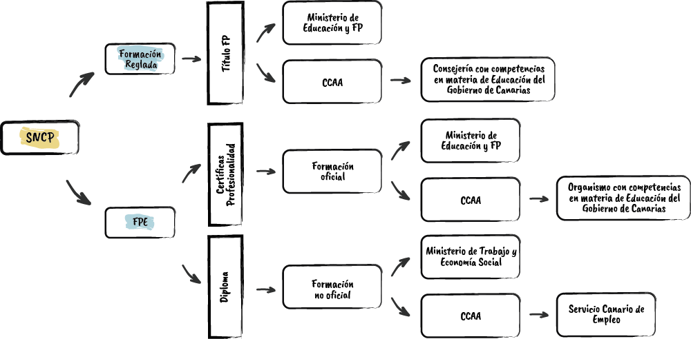 Esquema sobre el tipo de formación, su titulación y organismo competente.